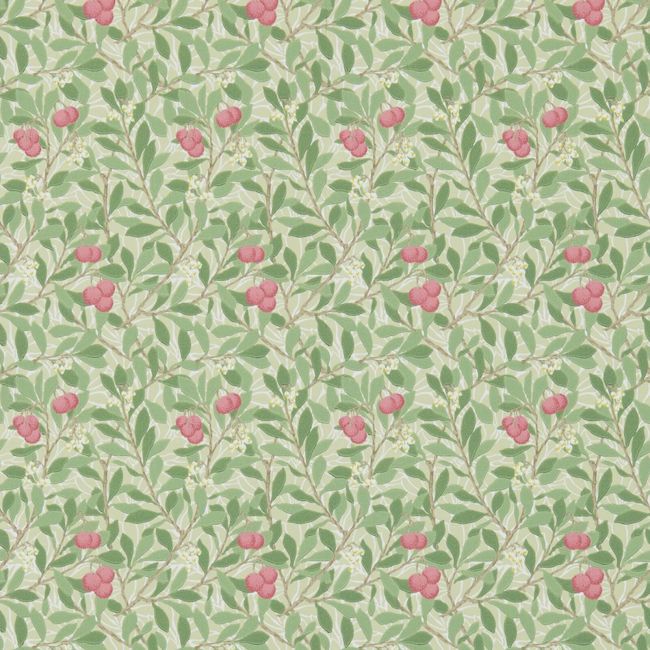 Arbutus Wallpaper Olive/Pink