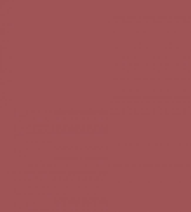 Barbed Berry Acrylic Eggshell Paint Barbed Berry