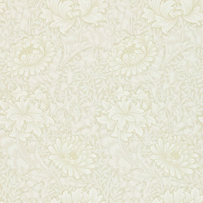 Chrysanthemum Wallpaper Chalk