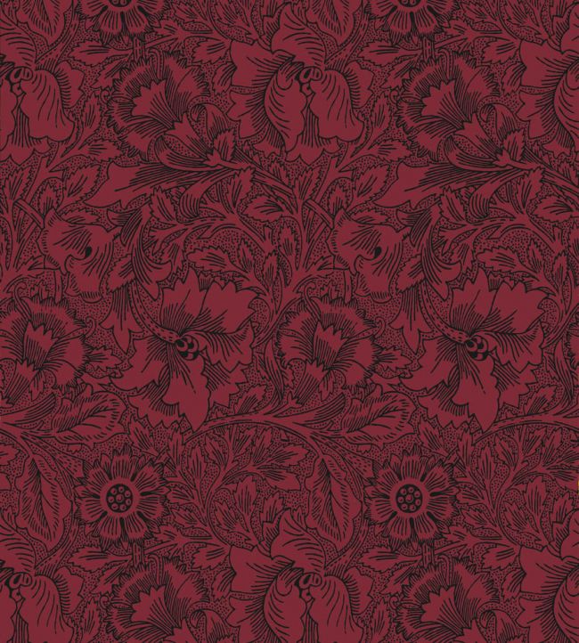 Poppy Wallpaper Claret