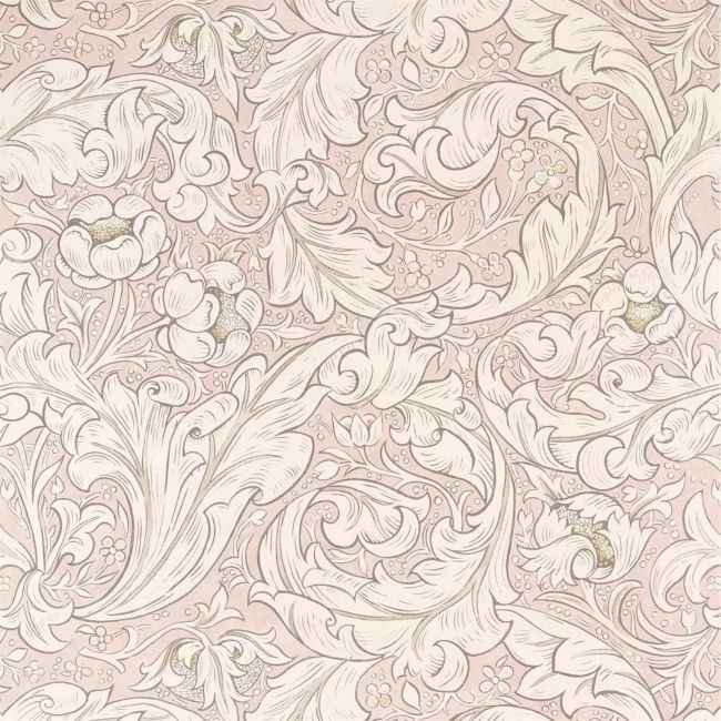 Pure Bachelors Button Wallpaper Faded Sea Pink