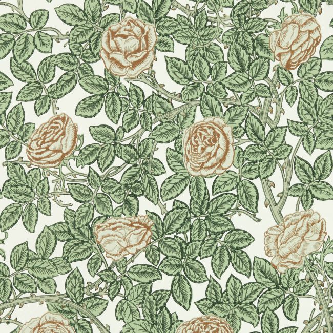 Rambling Rose Wallpaper Leafy Arbour/Pearwood