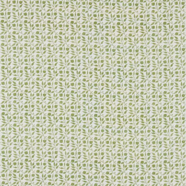 Rosehip Fabric Thyme