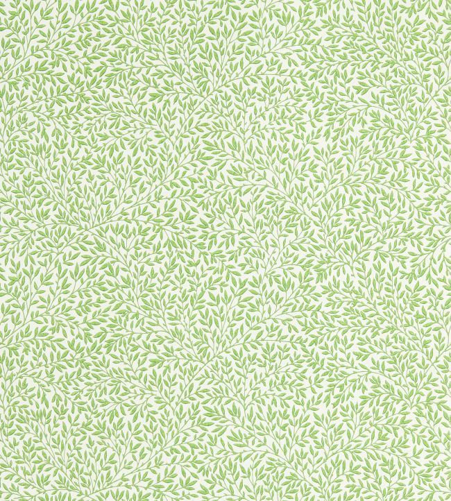 Standen Wallpaper Leaf Green