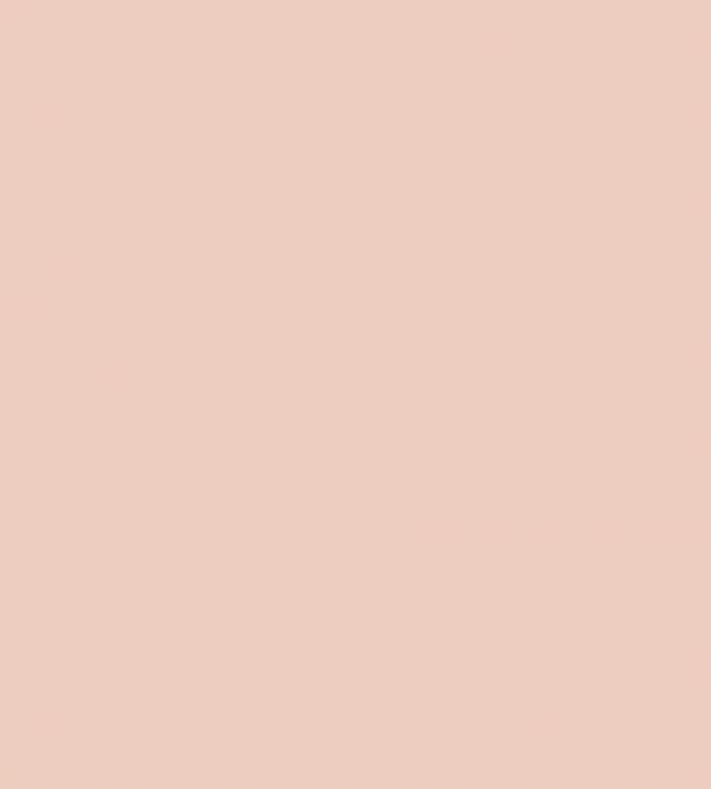 Sweet Briar Acrylic Eggshell Paint Sweet Briar