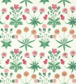 Daisy Wallpaper Strawberry Fields