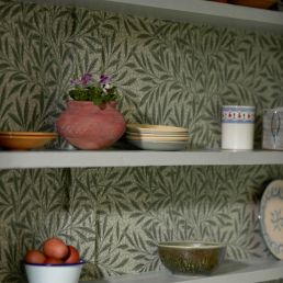 Emerys Willow Wallpaper Herball