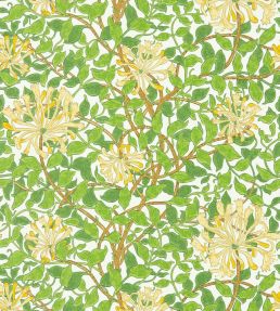 Honeysuckle Wallpaper Cream/Chocolate