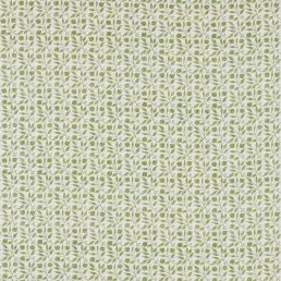 Rosehip Fabric Thyme